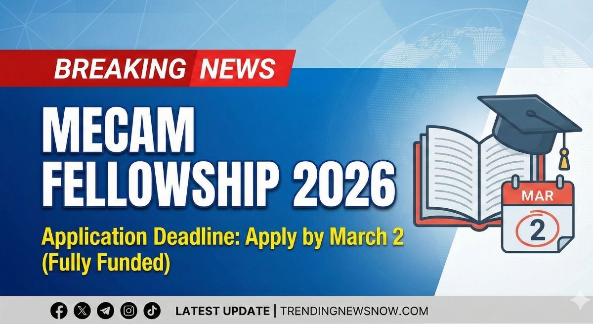 MECAM Fellowship 2026